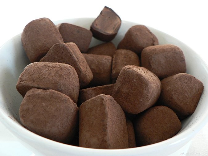 13 Common Household Items That Are Toxic to Dogs