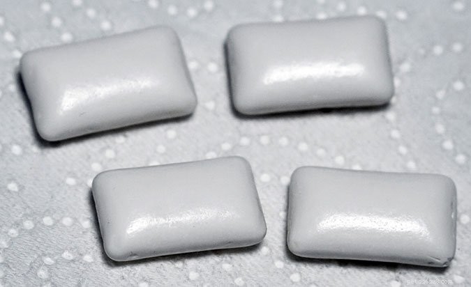 13 Common Household Items That Are Toxic to Dogs