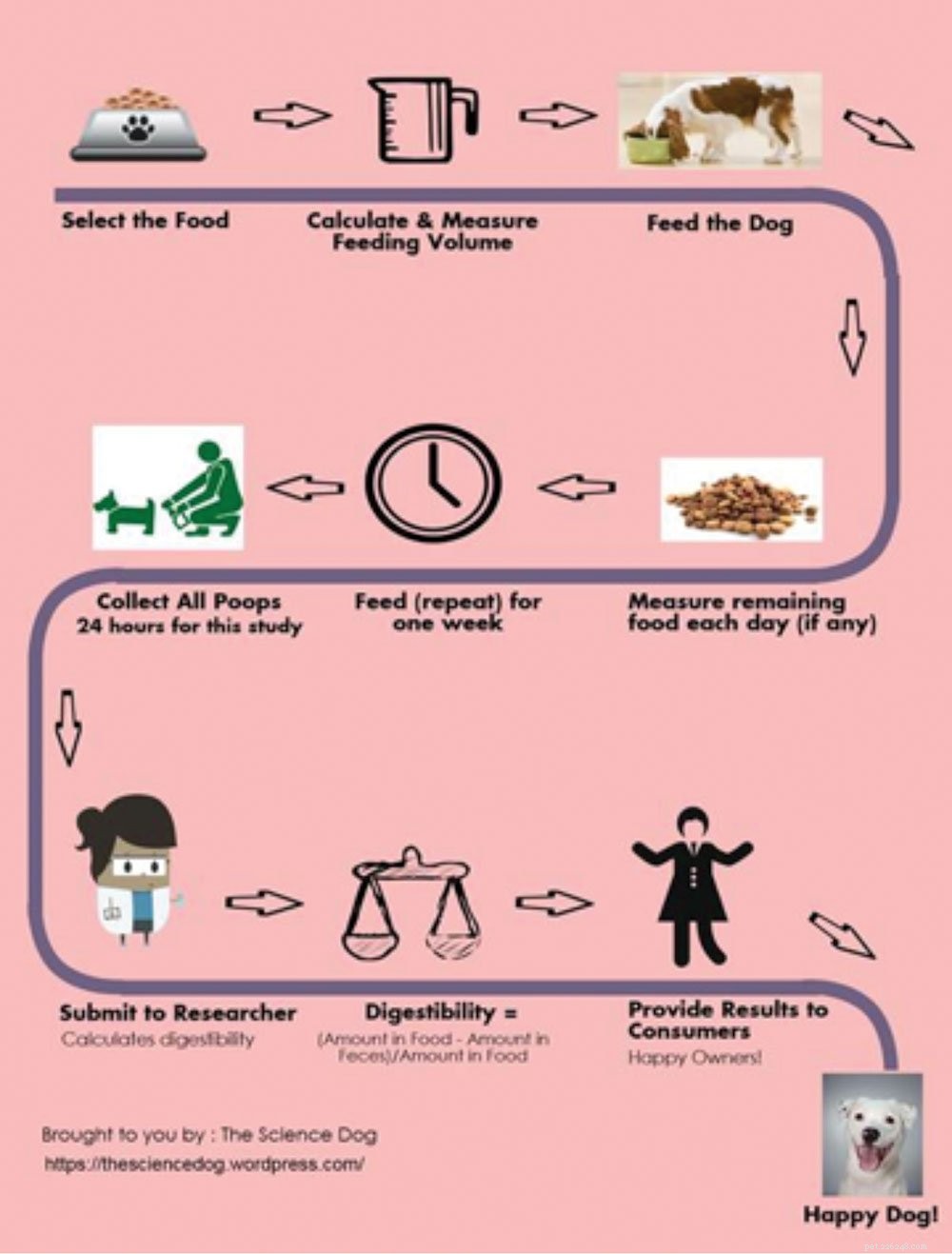 The Critical Role of Digestibility in Selecting High-Quality Dog Food