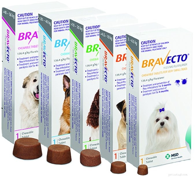 Top Prescription Oral Flea Treatments for Dogs: Safe & Effective
