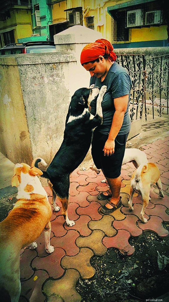 Free-Ranging Dogs Offer Fresh Evidence on Dogs  Protein Preferences