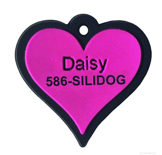 Quick Guide: How to Verify a Dog’s Identification
