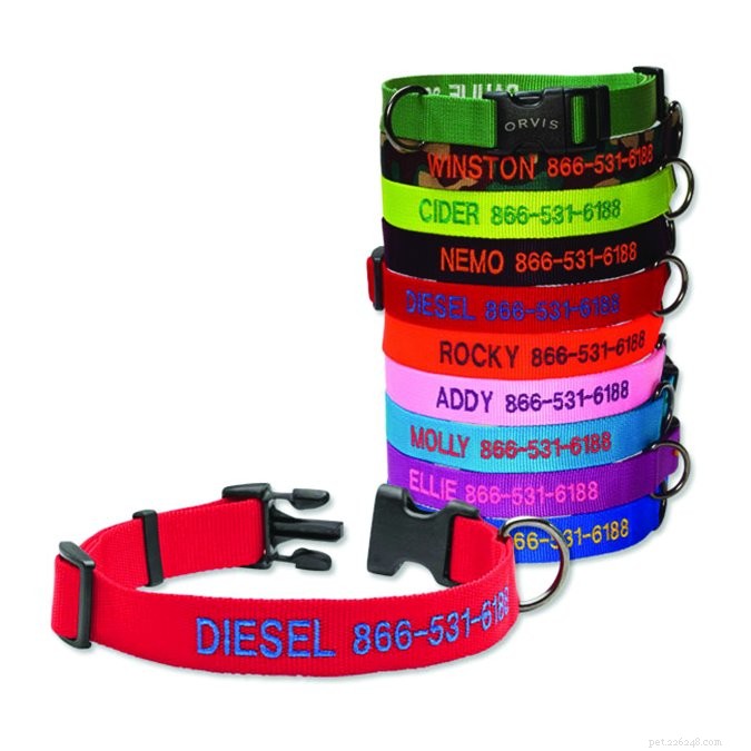 Quick Guide: How to Verify a Dog’s Identification