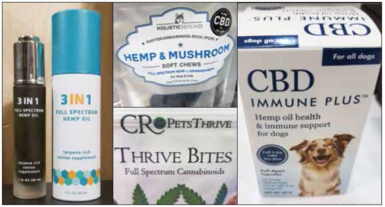 CBDs Explained: Safe Use and Benefits for Pets