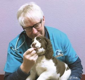 Fear‑Free Veterinary Care: Reducing Stress for Dogs & Owners
