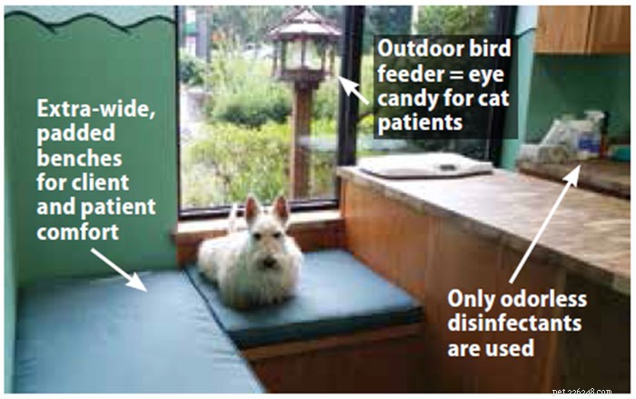 Fear‑Free Veterinary Care: Reducing Stress for Dogs & Owners