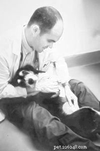 Comprehensive Guide to Canine Cancer: Resources, Treatment, and Hope
