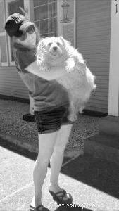 Effective Ways to Help Your Dog Lose Weight Safely