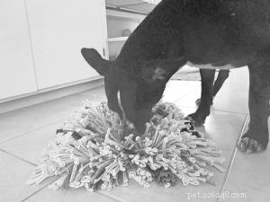 Effective Ways to Help Your Dog Lose Weight Safely