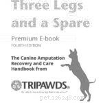 Caring for Dogs with Three Legs: A Comprehensive Post-Operation Guide