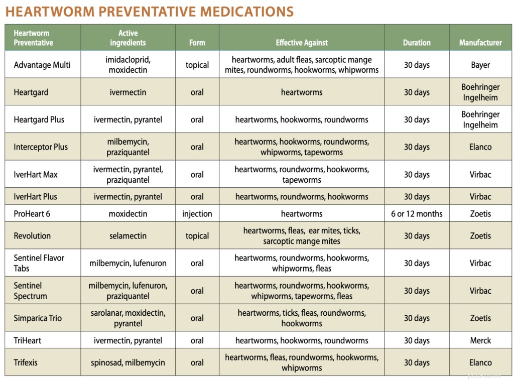 Understanding Heartworm: Causes, Symptoms, and Prevention