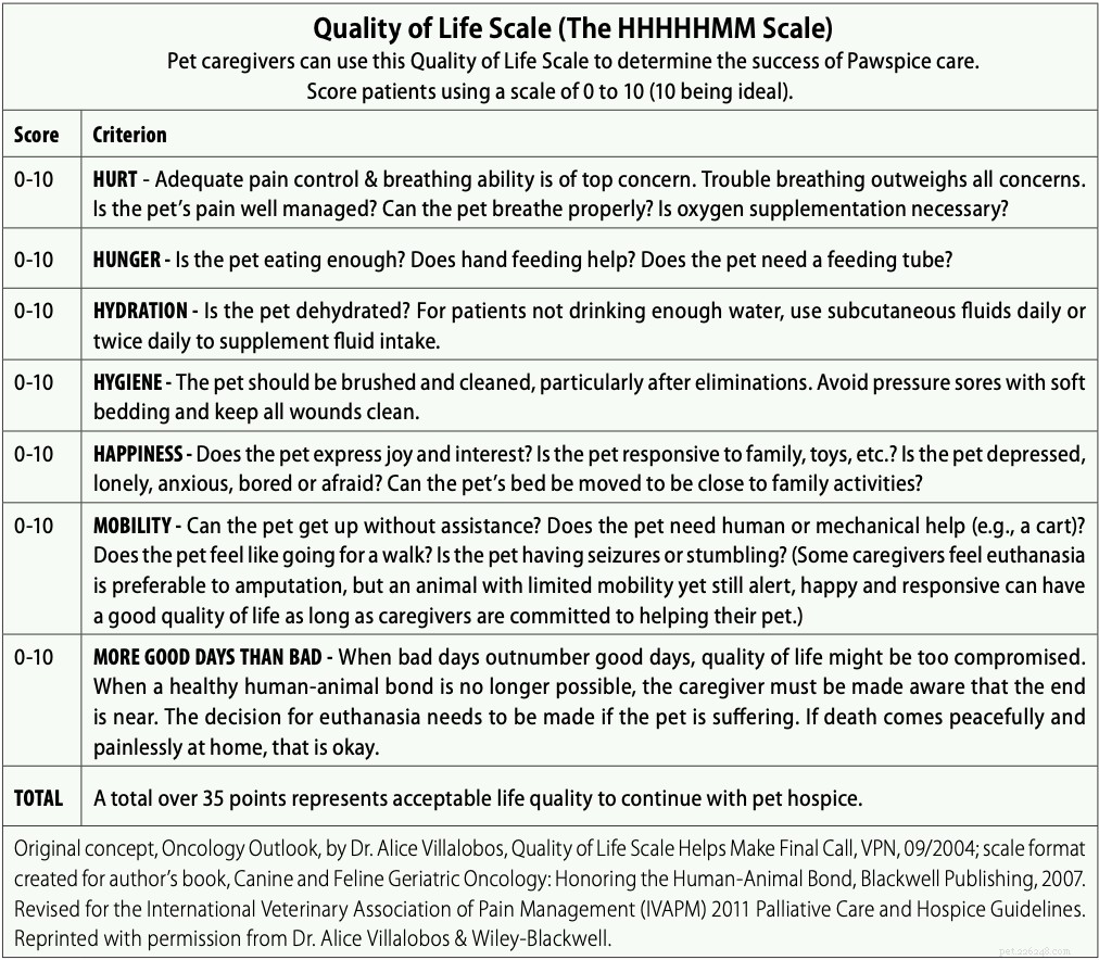 Expert Guidance on Palliative & Hospice Care for Your Dog