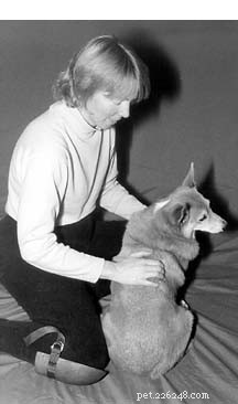 Petrissage: A Proven Dog Massage Technique for Deep Muscle Relief
