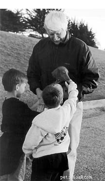 Raise a Well-Socialized Dog: Proven Steps for Happy, Confident Pups