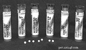 Homeopathy: Examining the Roots of an Alternative Medical Practice