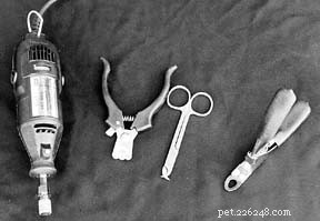 Top Dog Nail Clippers for Safe, Easy Grooming