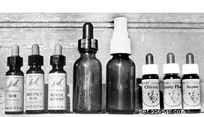 Harnessing Flower Essence Therapy to Enhance Your Dog s Health