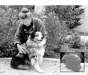 Make Grooming Fun: A Trusted Guide for Stress-Free Dog Care
