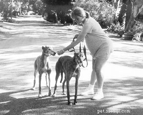 How to Safely Integrate Your Dog into a Household with Children