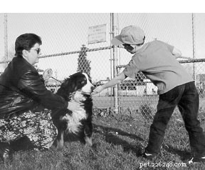 How to Safely Integrate Your Dog into a Household with Children