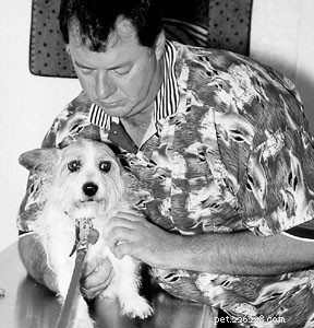Expert Animal Chiropractic Care for Pets