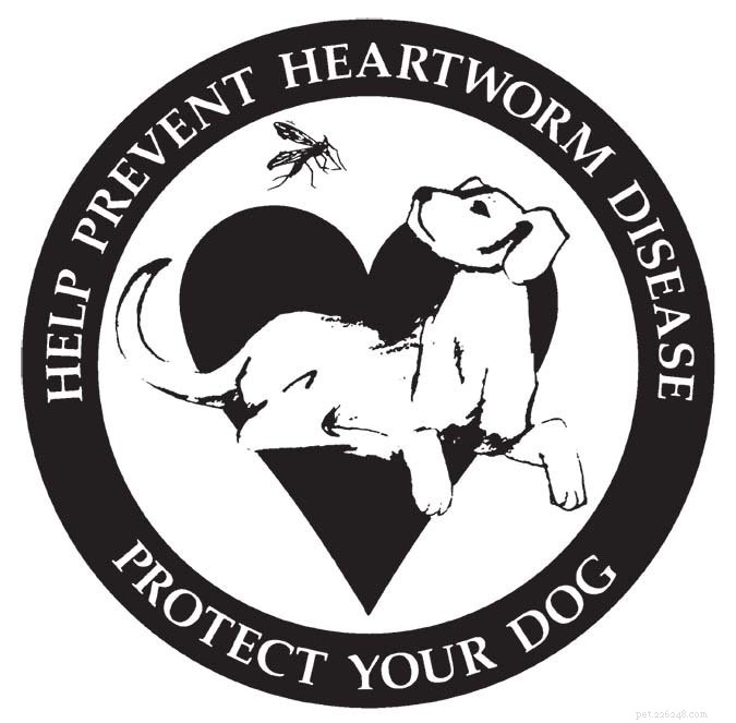 Holistic Heartworm Care: Proven Prevention & Treatment for Your Dog