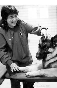 Expert Guide to Canine Massage, Acupressure, and TTouch Therapy