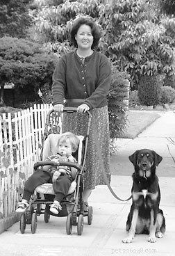 Hands‑Free Dog Leashes: Free Your Hands, Strengthen Your Bond