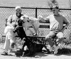 Dog Parks: Safe, Social, and Energetic Spaces for Your Pup