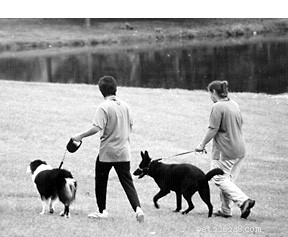 Create a Healthier, Safer Home for You and Your Pets