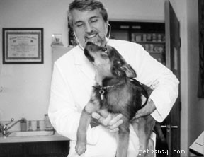 Lower Vet Costs with the Ideal Pet Insurance Plan