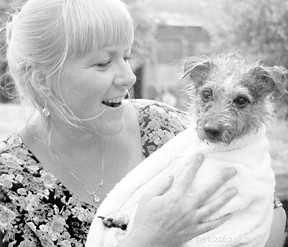 Trusted Natural Herbal Solutions for Flea Relief in Dogs