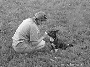How to Successfully Add a New Dog to Your Family Pack