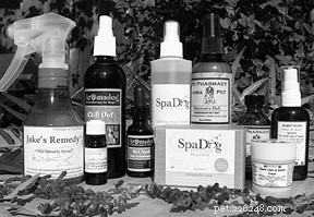 Aromatherapy for Dogs: Safe Essential Oil Use for Canine Wellness
