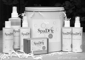 Aromatherapy for Dogs: Safe Essential Oil Use for Canine Wellness