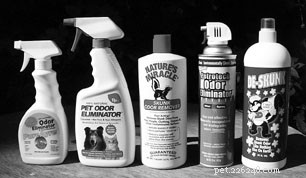 Effective Skunk Odor Removal Solutions: Trusted Products & Tips