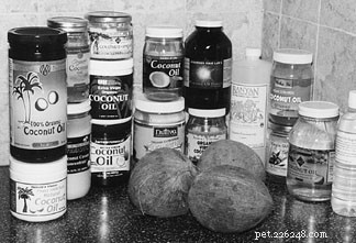 Coconut Oil for Dogs: Proven Health Benefits & Usage Guide
