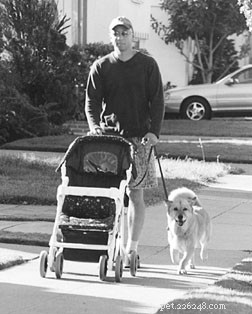 How to Train Your Dog to Coexist with Newborns: A Complete Guide