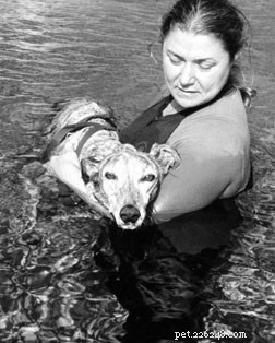 Veterinary Hospice Care: Compassionate End‑of‑Life Support for Pets