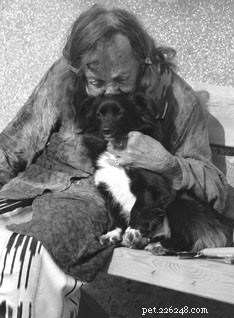 The Evolution of Holistic Dog Care: 70 Years of Natural Rearing