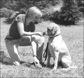 How to Address Guarding Behavior in Dogs: Eliminating Unwanted Actions