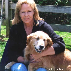 Discover the Joys and Benefits of Adopting an Older Dog