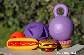 Vinyl Dog Toys: Protect Your Pet from Harmful Chemicals