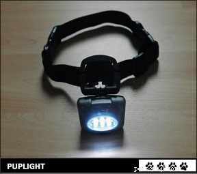 Enhancing Nighttime Dog Walks: Visibility Solutions for Safer Strolls