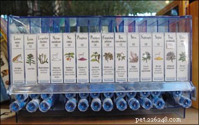 The Science Behind Homeopathy for Dogs: Helping Your Pet Heal Naturally