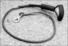 Top Leashes, Collars & Harnesses for Effective Positive Training