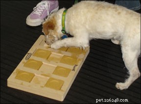 New Zoo Active Interactive Dog Toys – 10 Innovative Games for Engaged Pets