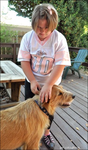 Choosing the Ideal Family Dog and Preparing Them for Life with Kids