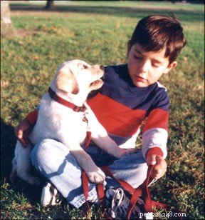 Choosing the Ideal Family Dog and Preparing Them for Life with Kids