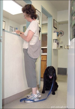 Comprehensive Pet Insurance: Protect Your Furry Friends from Unexpected Vet Costs